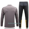 Sudadera De Entrenamiento Trajes BVB Borussia Dortmund Cremallera De Cuarto 2022-23 Gris Claro - Hombre